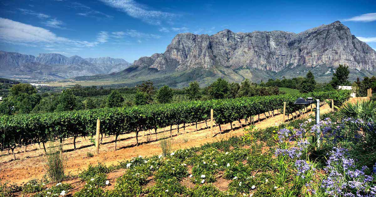 Demystifying Trademarks: a Dive Into Trademark Laws and Regulations in ...